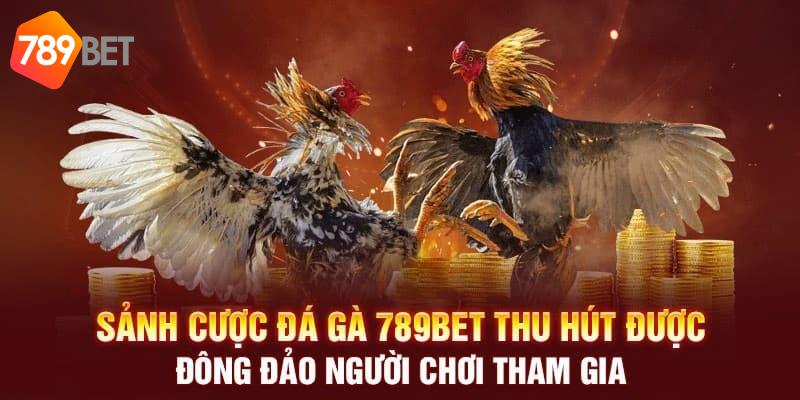 Giới thiệu về sảnh chơi đá gà tại nhà cái