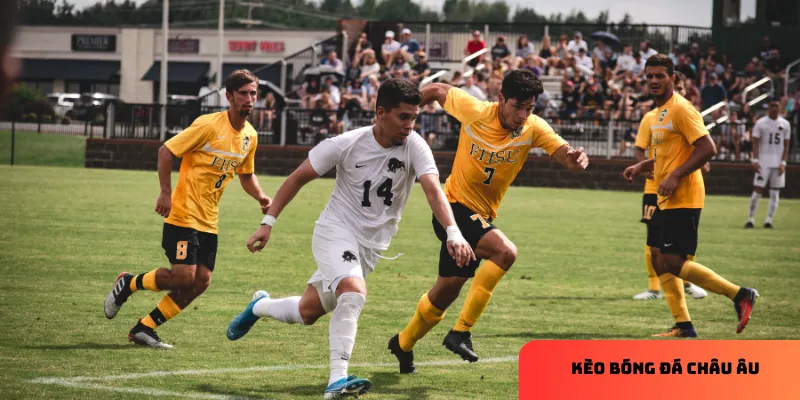 Phân tích phong độ và lịch sử đối đầu giúp bạn đưa ra dự đoán chính xác hơn.