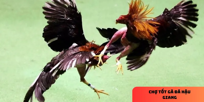 3 bước mua bán hiệu quả trên đây