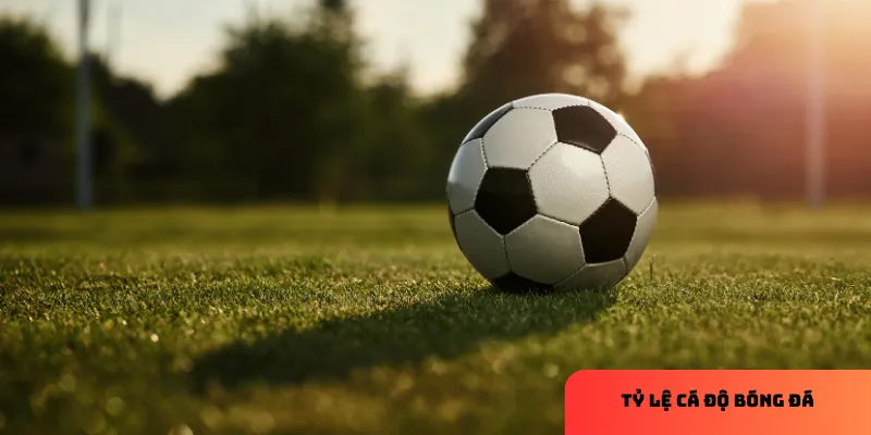 Biến động kèo và ảnh hưởng