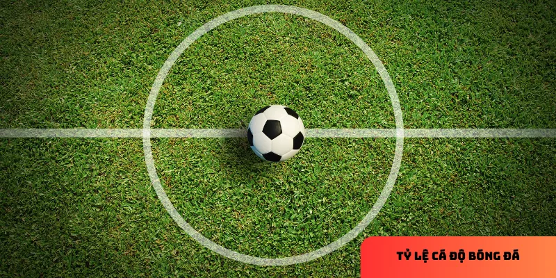 Các loại kèo phổ biến