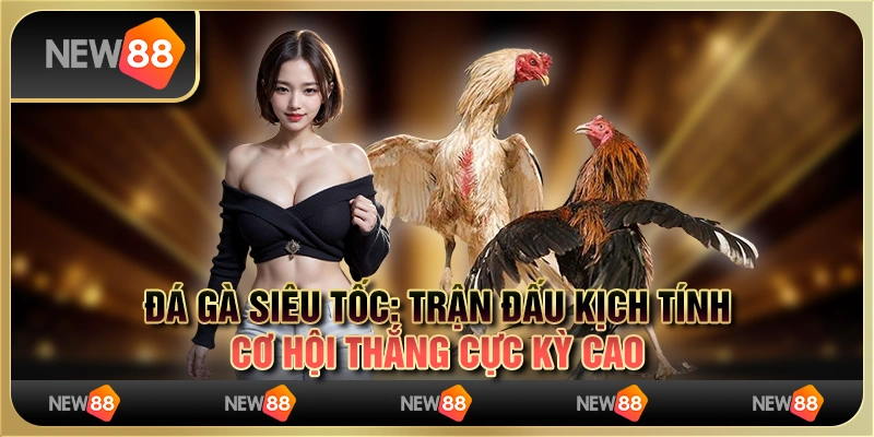 Đá gà siêu tốc: trận đấu kịch tính, cơ hội thắng cực kỳ cao