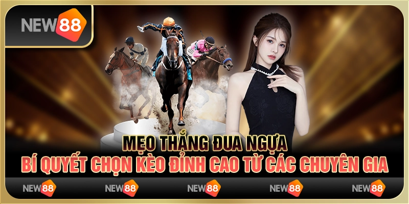 Mẹo thắng đua ngựa – bí quyết chọn kèo đỉnh cao từ các chuyên gia