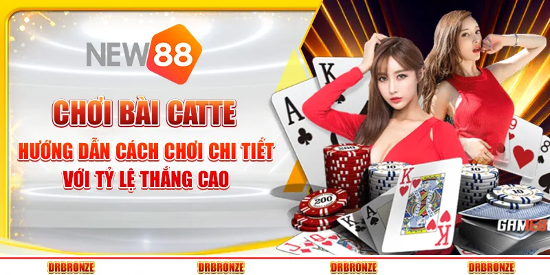 Chơi bài catte – Hướng dẫn cách chơi chi tiết với tỷ lệ thắng cao