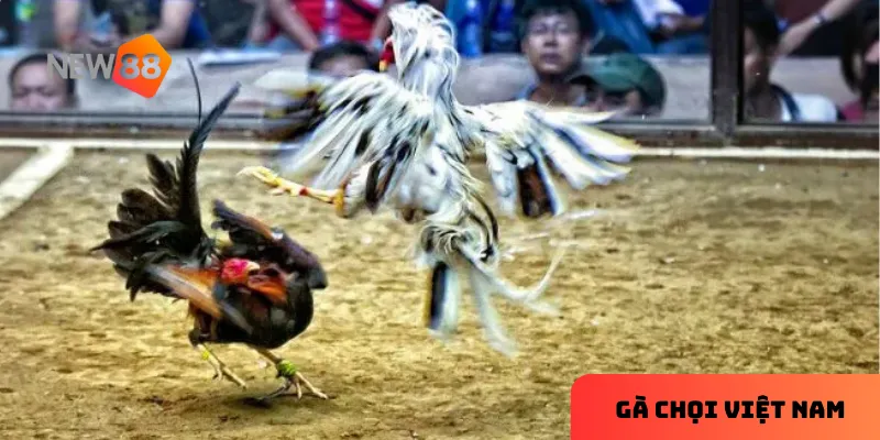 Chọn trận đấu phù hợp giúp tăng khả năng thắng cược.