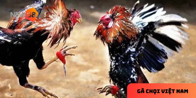 Giao diện thân thiện giúp người chơi dễ dàng thao tác.