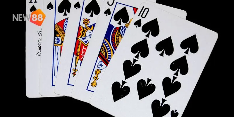 Khám phá những lý do bạn nên chọn New88 để chơi game bài Mậu Binh.