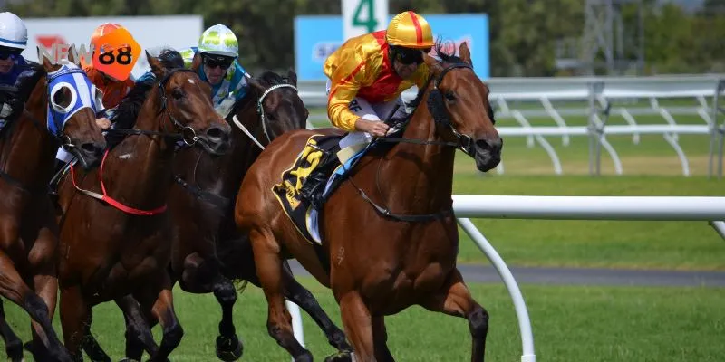 Tìm hiểu những cách giúp bạn chọn kèo đua ngựa chính xác và hiệu quả.