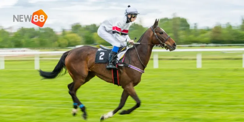 Tìm hiểu vì sao đua ngựa thu hút người chơi và những yếu tố đặc biệt của nó.