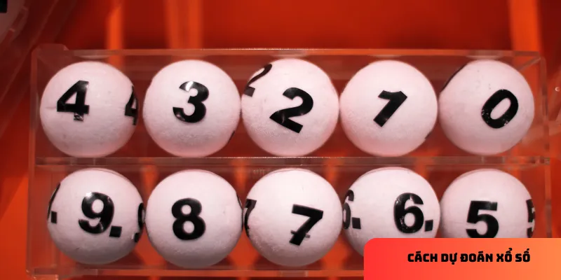 Phân tích xác suất để dự đoán