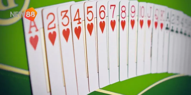 Nội dung này chia sẻ chiến thuật chơi bài catte hiệu quả.