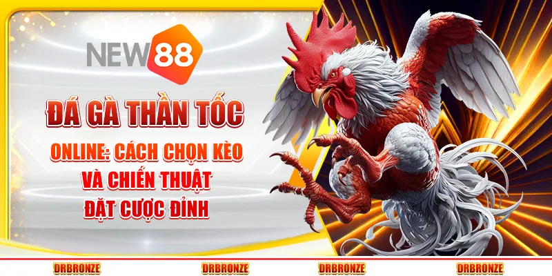 Đá gà thần tốc online: cách chọn kèo và chiến thuật đặt cược đỉnh