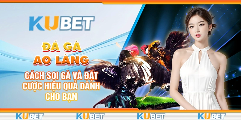 da-ga-ao-lang-cach-soi-ga-va-dat-cuoc-hieu-qua-danh-cho-ban