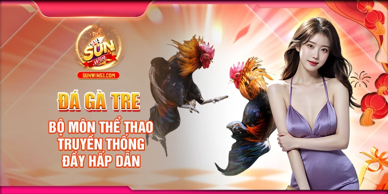 Đá Gà Tre: Bộ Môn Thể Thao Truyền Thống Đầy Hấp Dẫn