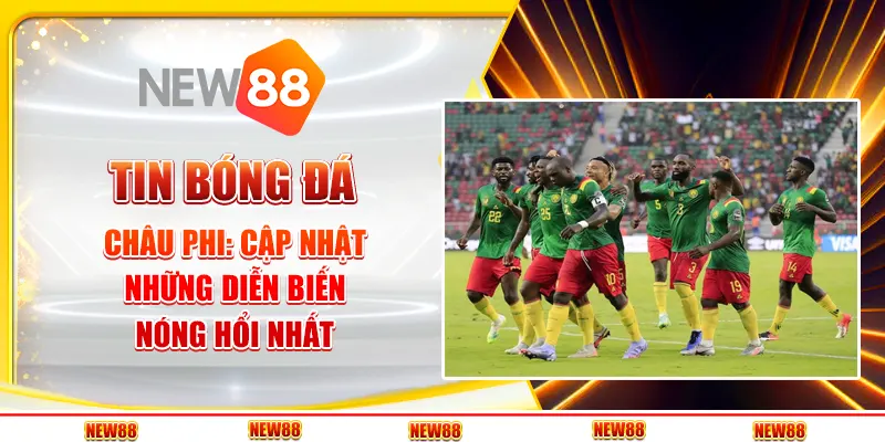 Bóng đá châu Phi: Niềm tự hào từ lục địa đen