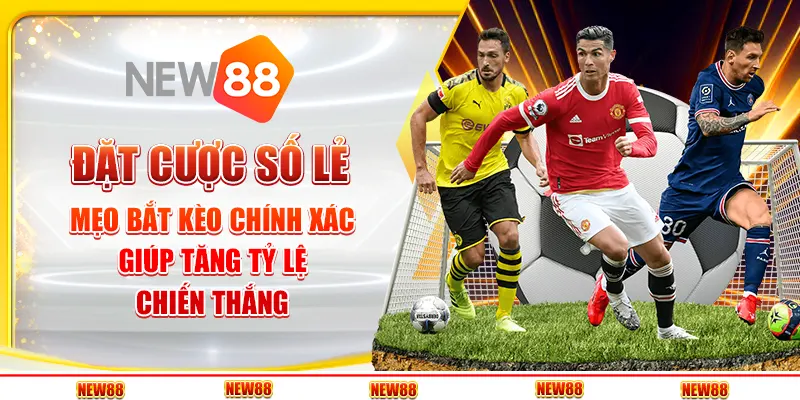 Đặt cược số lẻ: Lựa chọn thú vị trong thế giới cá cược