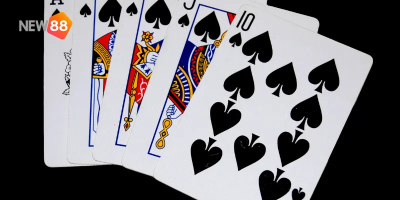 Xây dựng bộ bài cân bằng và hợp lý là bước đầu tiên để bạn làm chủ trận đấu.