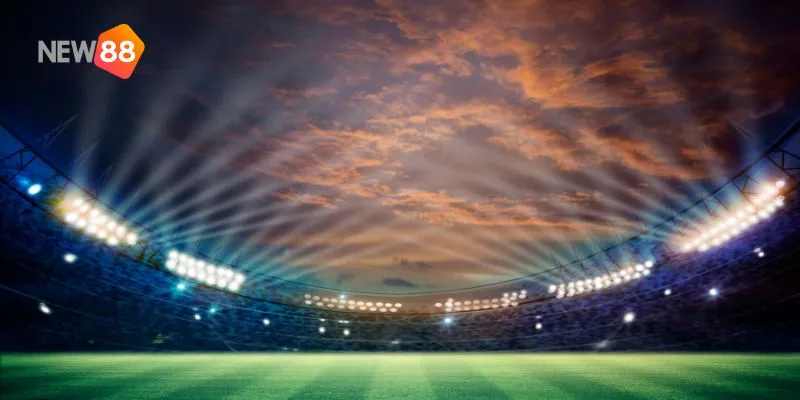 Giải cúp bóng đá hot năm 2024