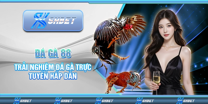 Đá Gà 88 – Trải Nghiệm Đá Gà Trực Tuyến Hấp Dẫn Mỗi Ngày