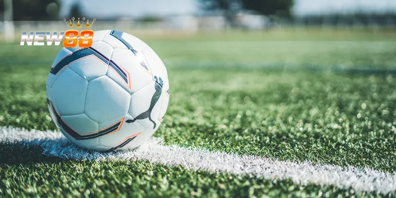 Mẹo cá cược vòng loại Euro hiệu quả