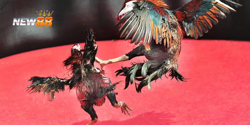 Tận dụng chương trình khuyến mãi để tối ưu lợi nhuận