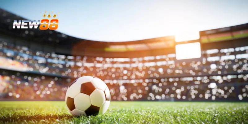 Dự đoán kết quả và triển vọng các đội bóng