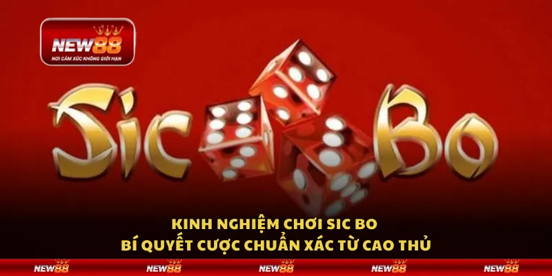 Kinh nghiệm chơi Sic Bo – Bí quyết cược chuẩn xác từ cao thủ