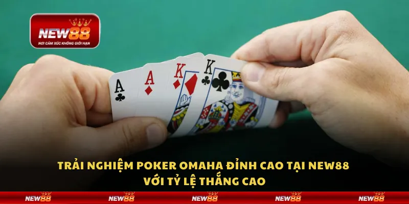 Trải nghiệm Poker Omaha đỉnh cao tại New88 với tỷ lệ thắng cao