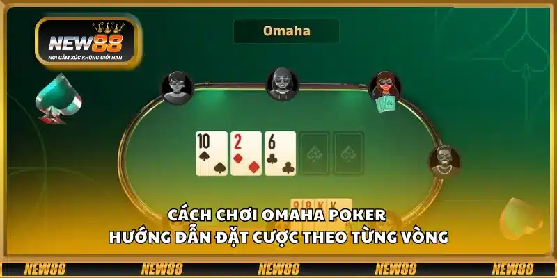 Cách chơi Omaha Poker – Hướng dẫn đặt cược theo từng vòng